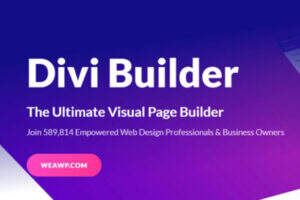 Divi Builder 编辑器插件汉化版-WordPress页面生成器插件