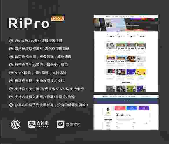 RiPro主题文章页付费下载插件riprodl_v1美化