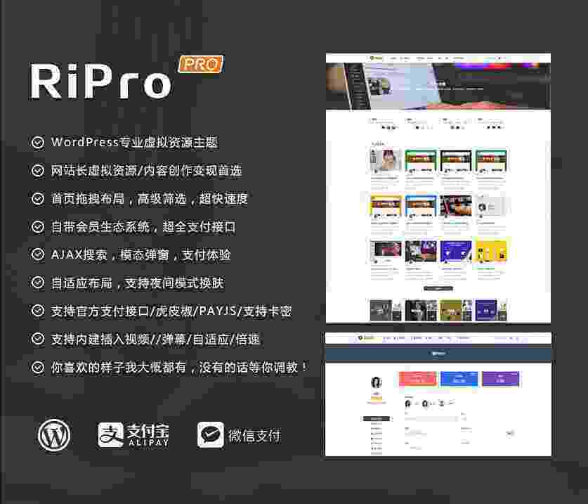 [纯粹版]RiPro日主题破解版-WordPress付费资源主题