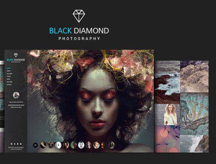 Diamond – 专业的摄影作品展示WordPress主题