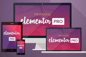 Elementor Pro汉化版-WordPress页面构建器-专业版已激活可在线更新
