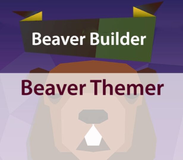 Beaver Themer 汉化版-Beaver Builder页面编辑器增强插件