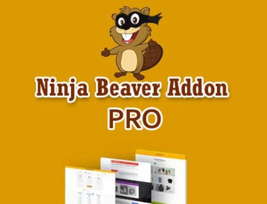 Ninja Beaver Pro汉化版-Beaver Builder可视化元素扩展插件