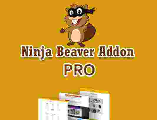 Ninja Beaver Pro汉化版-Beaver Builder可视化元素扩展插件