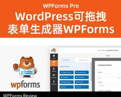 WPForms Pro 汉化版-WordPress多功能表单设计插件(+所有组件)