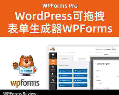 WPForms Pro 汉化版-WordPress多功能表单设计插件(+所有组件)