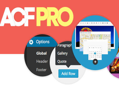 Advanced Custom Fields PRO 中文版-WordPress自定义字段插件+addons扩展