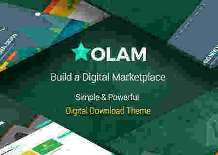 Olam Pro 高级汉化版-wordpress虚拟资源下载数字商城