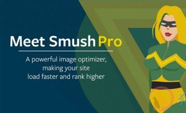 WP Smush Pro 汉化版  – wordpress图片优化插件
