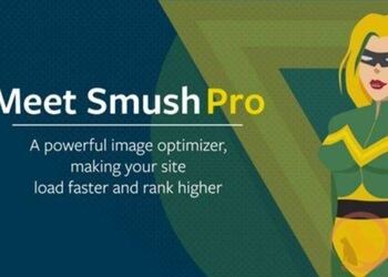 WP Smush Pro 汉化版  – wordpress图片优化插件