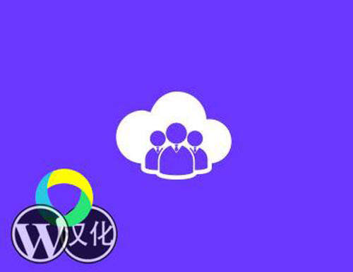 Youzer  Member Types 汉化版-Buddypress成员类型插件