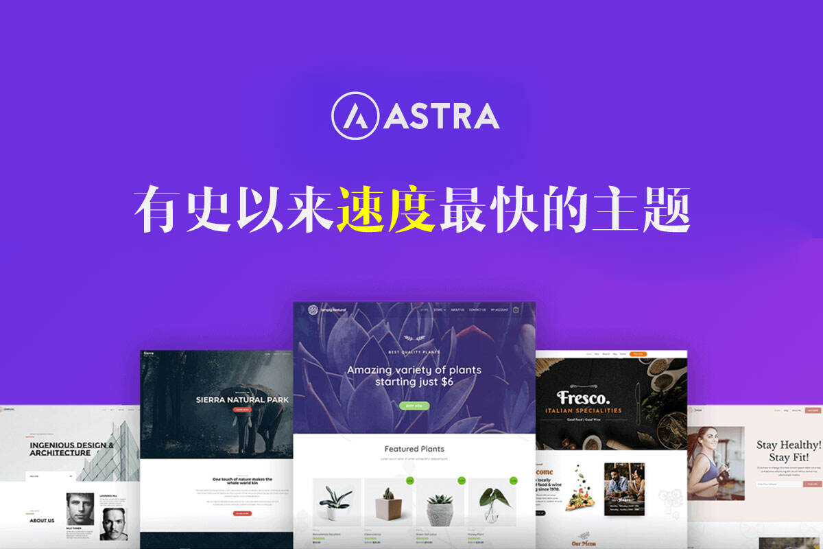 Astra主题集成汉化版 -史上最快的轻量化WordPress通用主题（含Astra Pro及所有汉化）