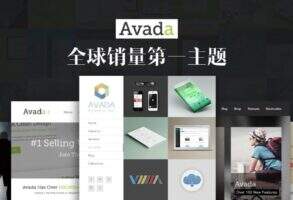 Avada 汉化版-WordPress 最牛的商务主题之一（含插件及汉化）