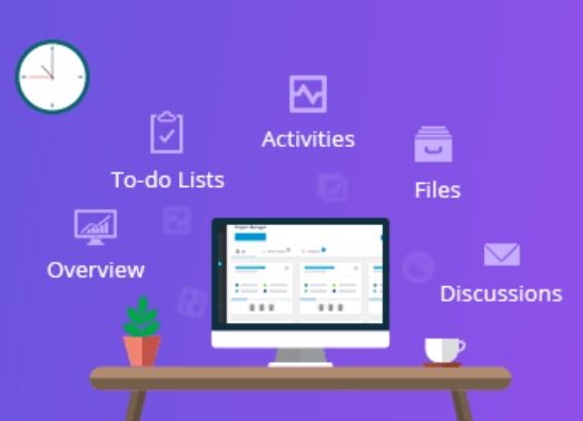 WP Project Manager 汉化版-WordPress项目管理系统插件