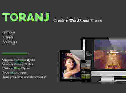 Toranj 汉化版-两栏式图片创意作品营销 WordPress主题