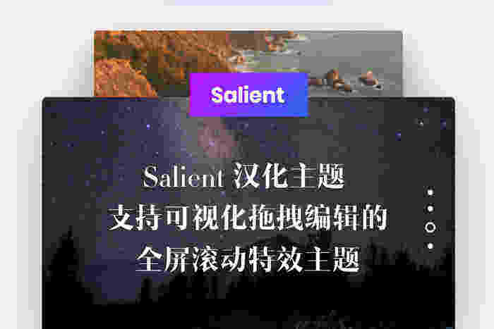 Salient 主题汉化版-精美的多功能wordpress主题