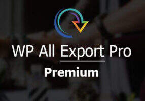 WP All Export Pro汉化版-WordPress专业数据导出插件