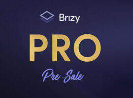 Brizy Pro 汉化版-简约时尚wordpress可视化构建器