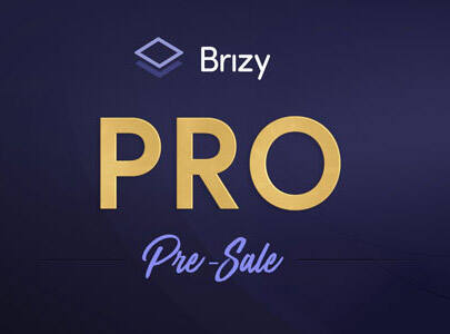 Brizy Pro 汉化版-简约高性能wordpress可视化构建器-可在线导入模板