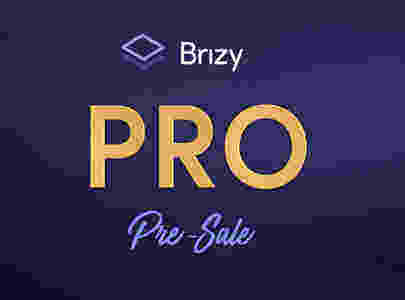 Brizy Pro 汉化版-简约高性能wordpress可视化构建器-可在线导入模板