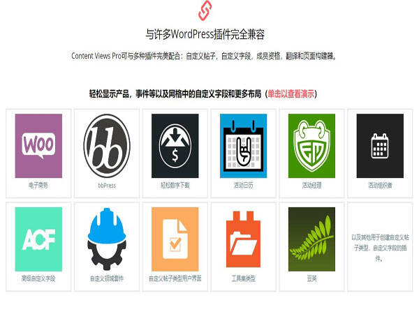 Content Views PRO 汉化版-WordPress过滤器和网格插件
