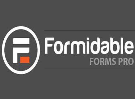 Formidable Forms Pro 汉化版-wordpress表单插件+增强附件扩展