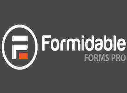 Formidable Forms Pro 汉化版-wordpress表单插件+增强附件扩展
