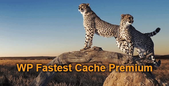 WP Fastest Cache Premium 汉化-wordpress高级缓存插件