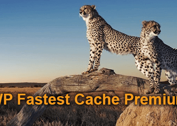 WP Fastest Cache Premium 汉化-wordpress高级缓存插件