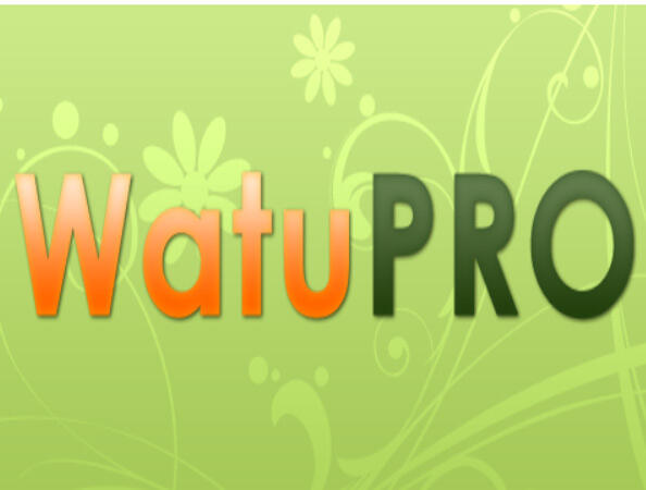 WatuPRO 汉化版-考试测评和测验WordPress插件