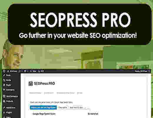 SEOPress PRO 汉化版- WordPress SEO插件