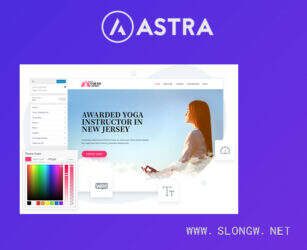 Astra Pro Addon 汉化版-Astra主题高级编辑插件