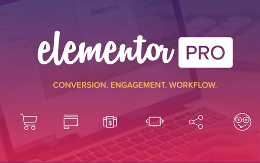 Elementor Pro 完美汉化版 -WordPress可视化设计器(含全套模板)