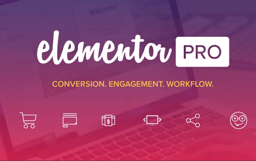 Elementor Pro汉化版-WordPress页面构建器+海量demo模板