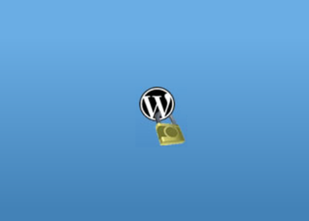 WP-Members汉化版| WordPress会员管理插件