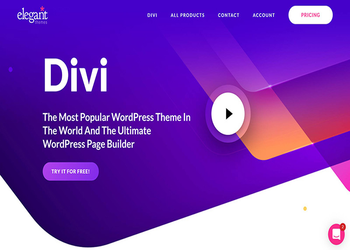 Divi Theme主题汉化版-WordPress灵活创意多功能主题