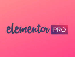 Elementor Pro+ Elementor 组合汉化版-wordpress页面构建器(含海量模板）
