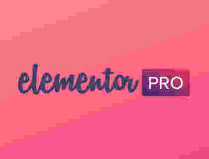 Elementor Pro+ Elementor 汉化版-WordPress构建器(海量模板、在线导入pro模板）