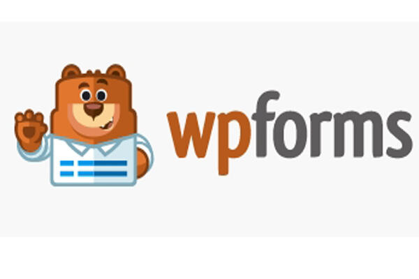 WPForms汉化版-WordPress响应式多功能 表单设计插件