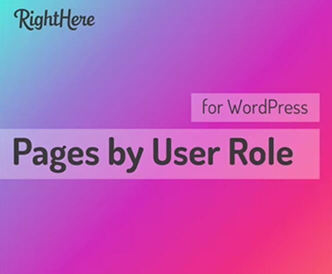 Pages by User Role汉化版-WordPress页面权限限制插件