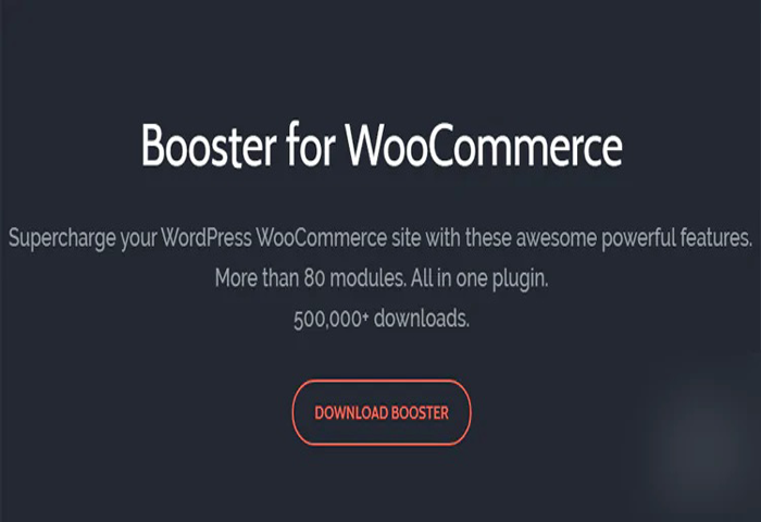 Booster Plus for WooCommerce 汉化版-WooCommerce功能增强专业插件+Elite版