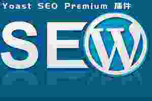 Yoast SEO 插件汉化版- WordPress搜索引擎优化插件