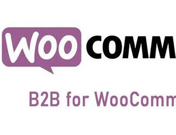 B2B for WooCommerce汉化版-B2B批发商城WordPress