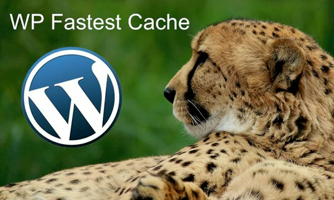WP Fastest Cache Premium插件
