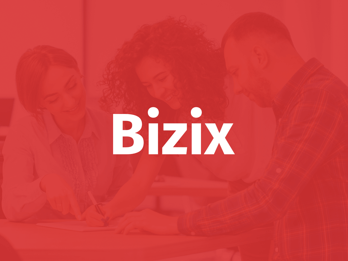 Bizix  主题