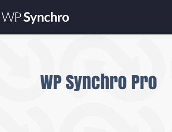 WP Synchro Pro汉化版-专业站点迁移WordPress插件