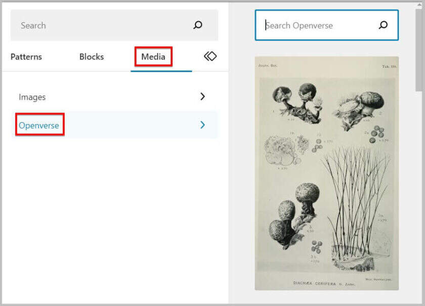 WordPress 6.2 BETA 块插入器中的 Openverse 图像