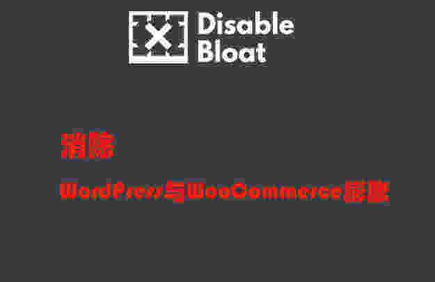 Disable Bloat for WordPress & WooCommerce PRO插件