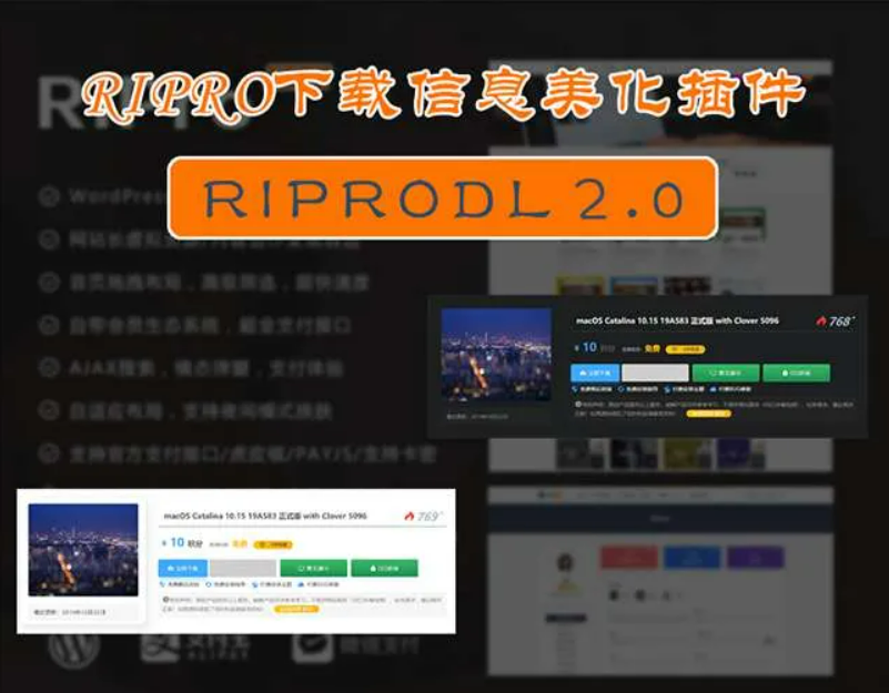 Ripro主题下载信息美化插件Riprodl2.0