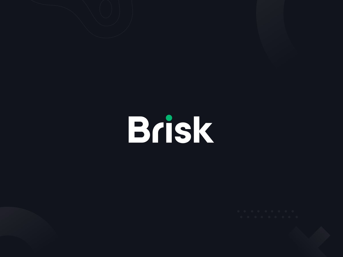 Brisk 汉化版- 多用途企业网站、商业网站 WordPress 主题